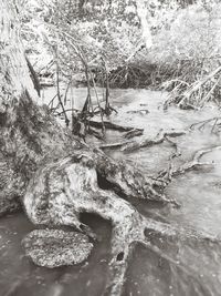 Close-up of water flowing in river
