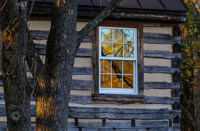 Close-up of window