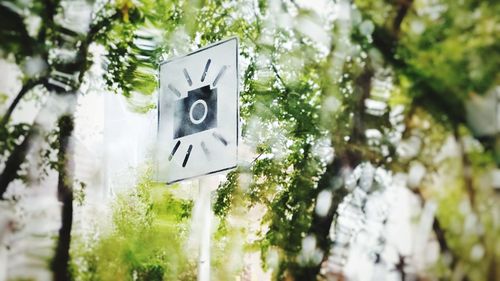 Close-up of road sign against trees