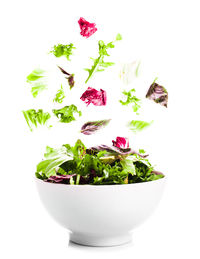Close-up of flowers in bowl against white background