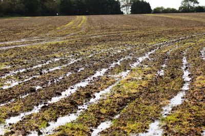 Scenic view of snowy field