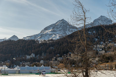 Saint moritz, switzerland, february 21, 2023 winter at the coast of the frozen lake on a sunny day