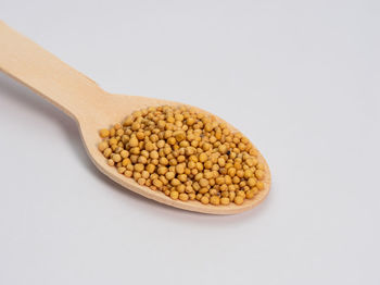 Close-up of cake against white background