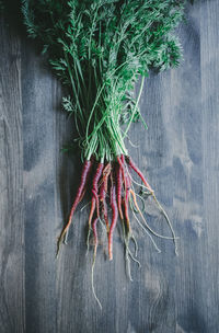 High angle view of vegetables on table