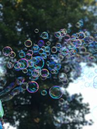 Close-up of bubbles against blurred background