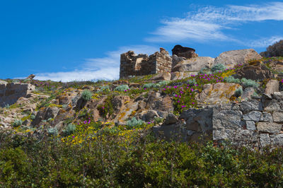 Caprera sardegna