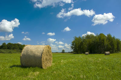 Round hay bale on a green meadow, trees and white clouds on a blue sky