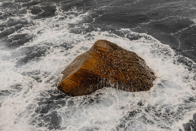 High angle view of rock in sea