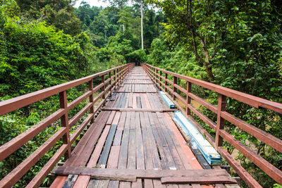 Railway bridge in forest