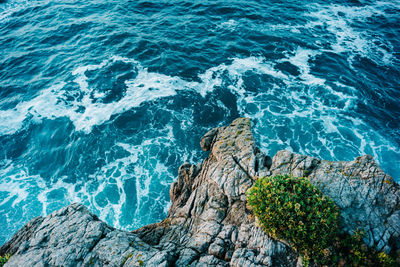 High angle view of rocks on beach