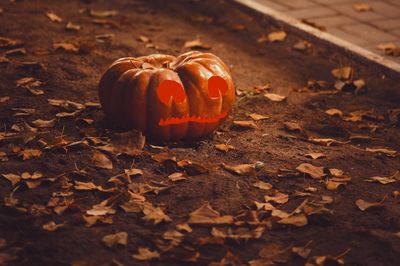 Close-up of pumpkin on field during autumn