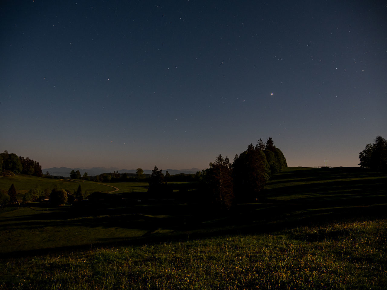 night, sky, star - space, scenics - nature, beauty in nature, plant, space, tranquility, tranquil scene, landscape, nature, astronomy, environment, field, land, tree, grass, no people, star, green color, outdoors