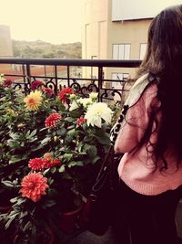 Rear view of teenage girl standing by flowers in balcony 