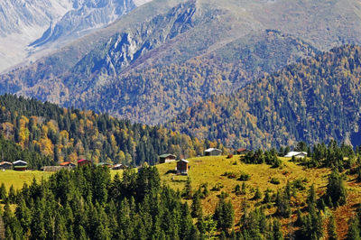 Panoramic view of trees and mountains during autumn