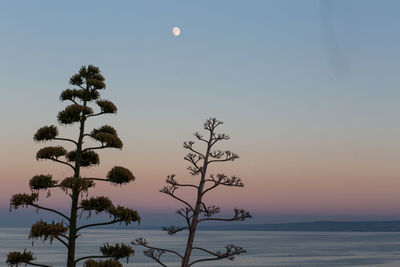 Scenic view of sea against clear sky at sunset