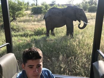 Portrait of boy with horse in car