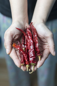 Close-up of hand holding red berries