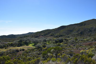 Scenic view of mountains against clear blue sky