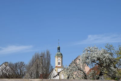 Low angle view of trees against blue sky