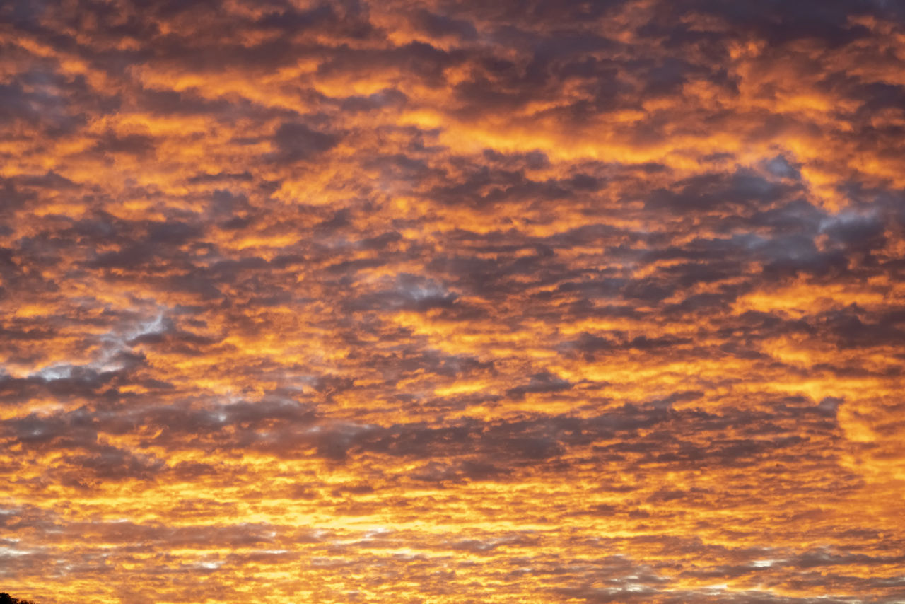 SCENIC VIEW OF DRAMATIC SKY DURING SUNSET