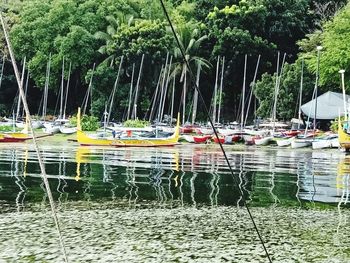 Boats moored in lake