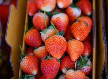Sweet freshness strawberry group ready to eat storage in container box for sell and transportation