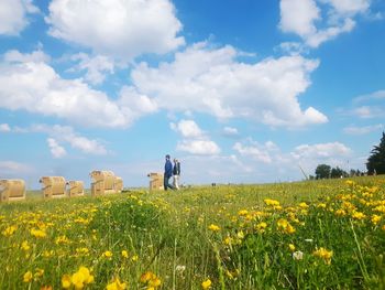 Scenic view of oilseed rape field against sky