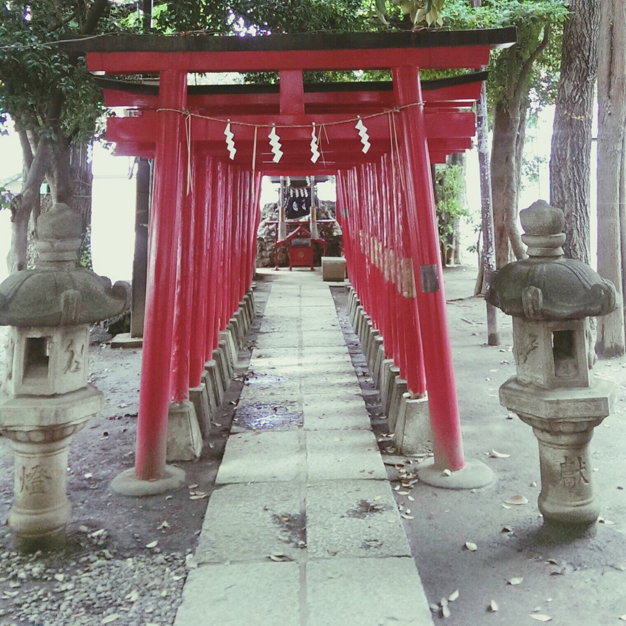 red, religion, built structure, temple - building, tree, architecture, spirituality, place of worship, steps, architectural column, in a row, tradition, railing, temple, day, cultures, culture, sunlight, shrine