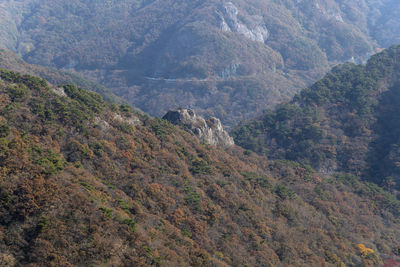 High angle view of trees and mountains