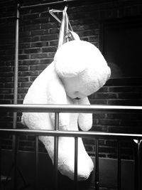 Close-up of stuffed toy hanging on railing