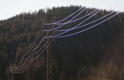 Scenic view of landscape