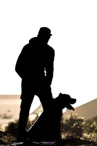 silhouette