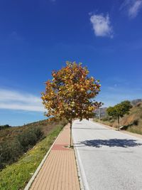 Road amidst trees against sky during autumn