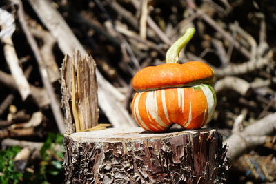 Close-up of pumpkin on wood during halloween