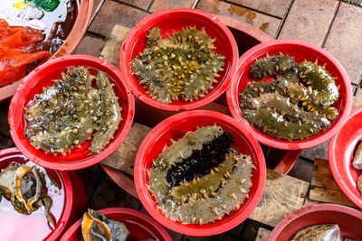 High angle view of potted plants in bowl