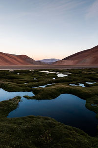 Scenic view of lake against clear sky
