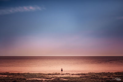 Silhouette of person standing on beach