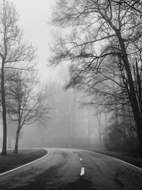 Empty road by bare trees