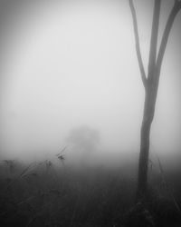 Scenic view of landscape in foggy weather