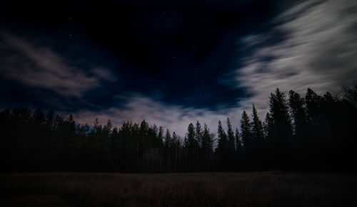 Scenic view of silhouette trees against sky at night