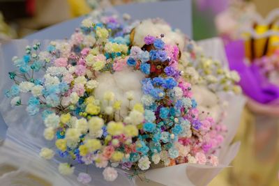 Close-up of multi colored candies