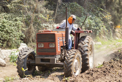 Farmer working in farm