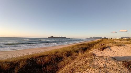 Scenic view of beach against clear sky