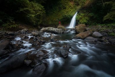 Stream flowing through rocks in forest