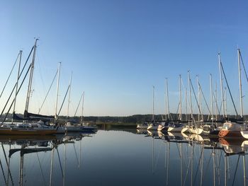 Sailboats in marina