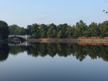 Reflection of trees in calm lake