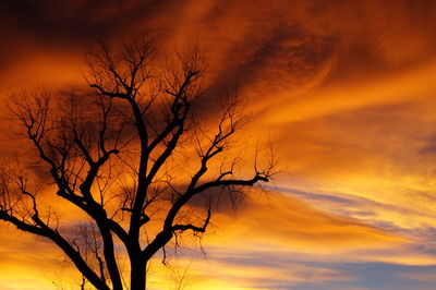 Low angle view of bare tree against dramatic sky