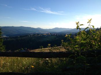 Scenic view of landscape against sky