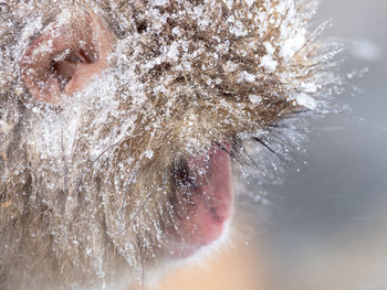 Close-up portrait of a woman on snow