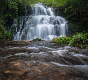 Scenic view of waterfall in forest